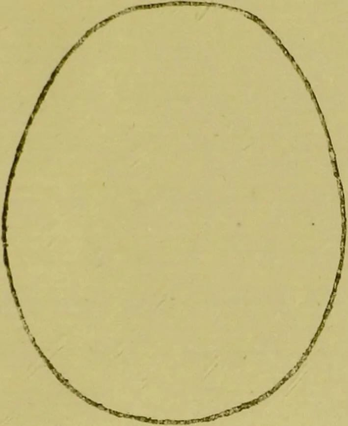An illustration from Heads, and what they tell us : phrenological recollections / by W. Pugin Thornton., 1892, leaf 87
