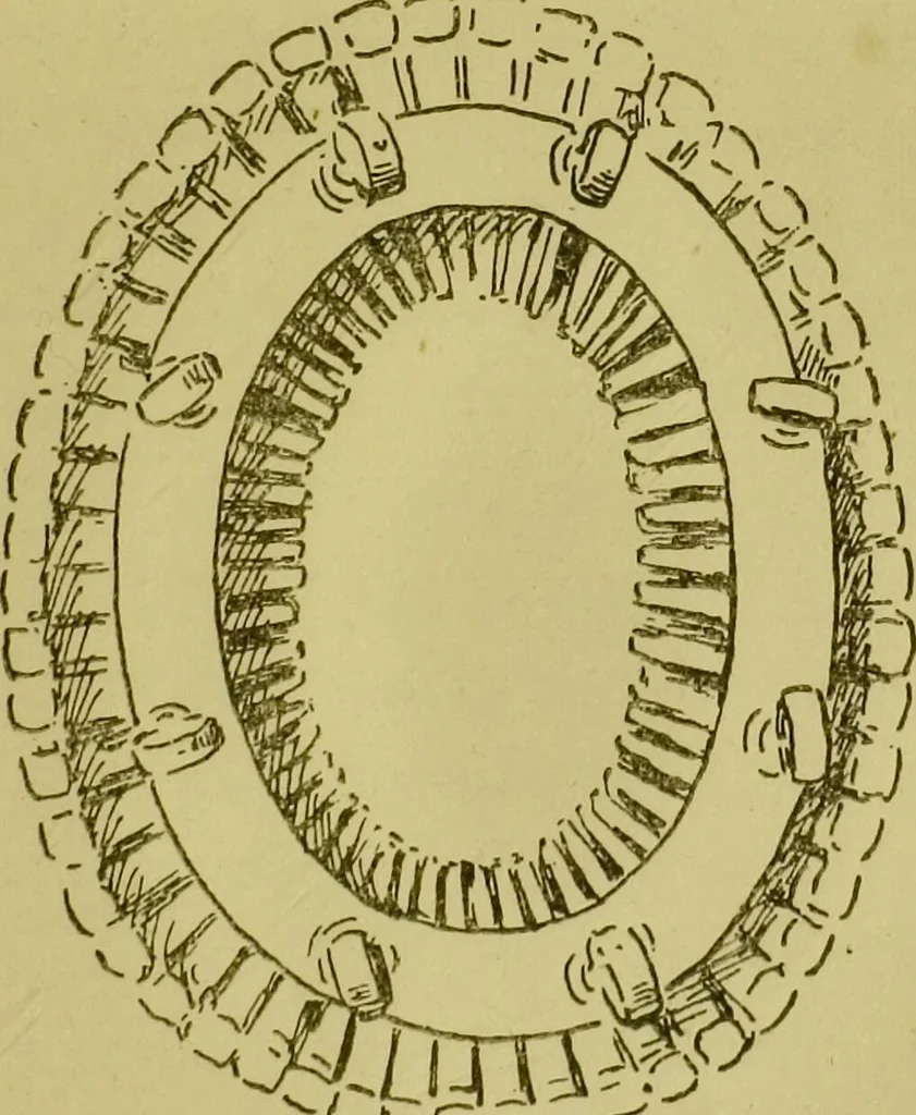 An illustration from Heads, and what they tell us : phrenological recollections / by W. Pugin Thornton., 1892, leaf 87