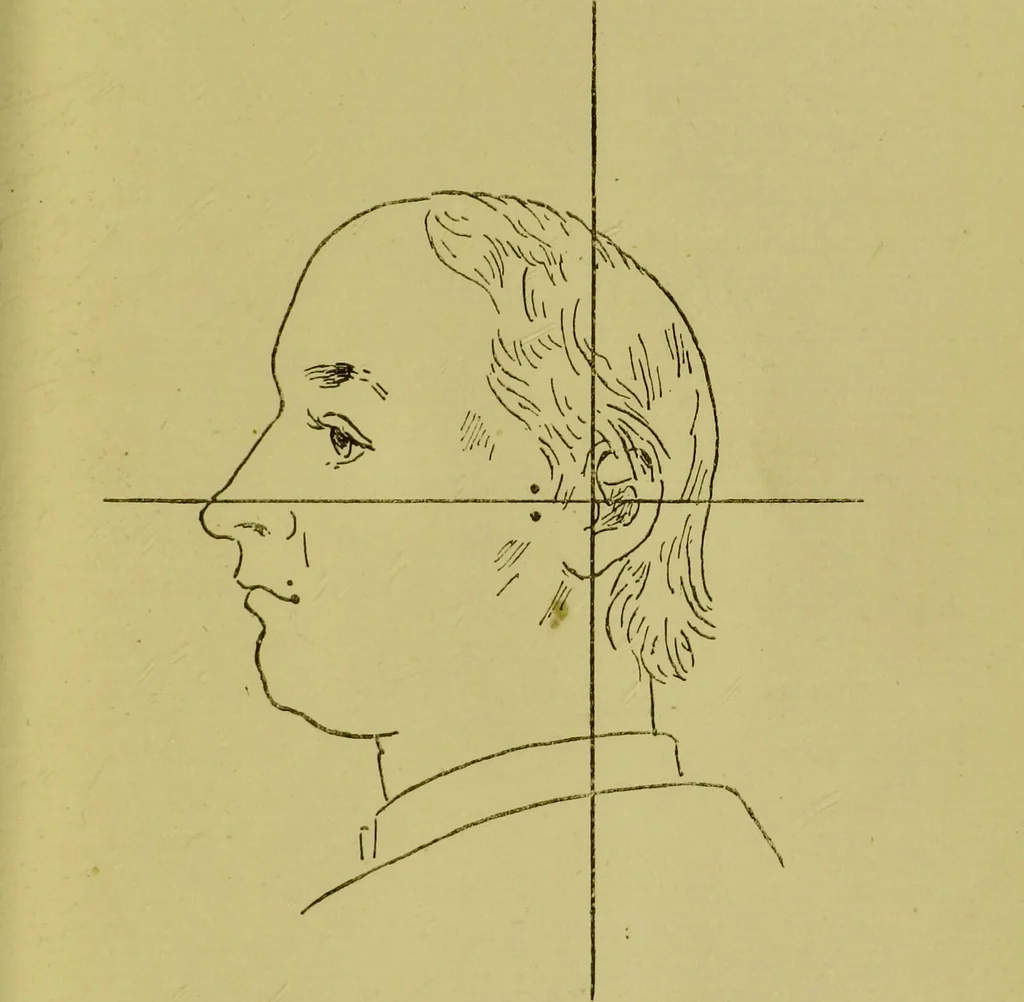 An illustration from Heads, and what they tell us : phrenological recollections / by W. Pugin Thornton., 1892, leaf 95