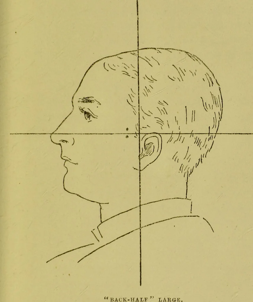 An illustration from Heads, and what they tell us : phrenological recollections / by W. Pugin Thornton., 1892, leaf 97