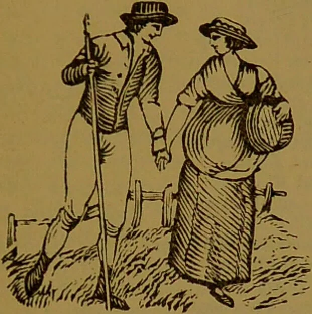 An illustration from "Truths for the million" : hand book & guide to physiology, psychology, physiognomy and phrenology / by Joseph Dyson., 1885, leaf 35