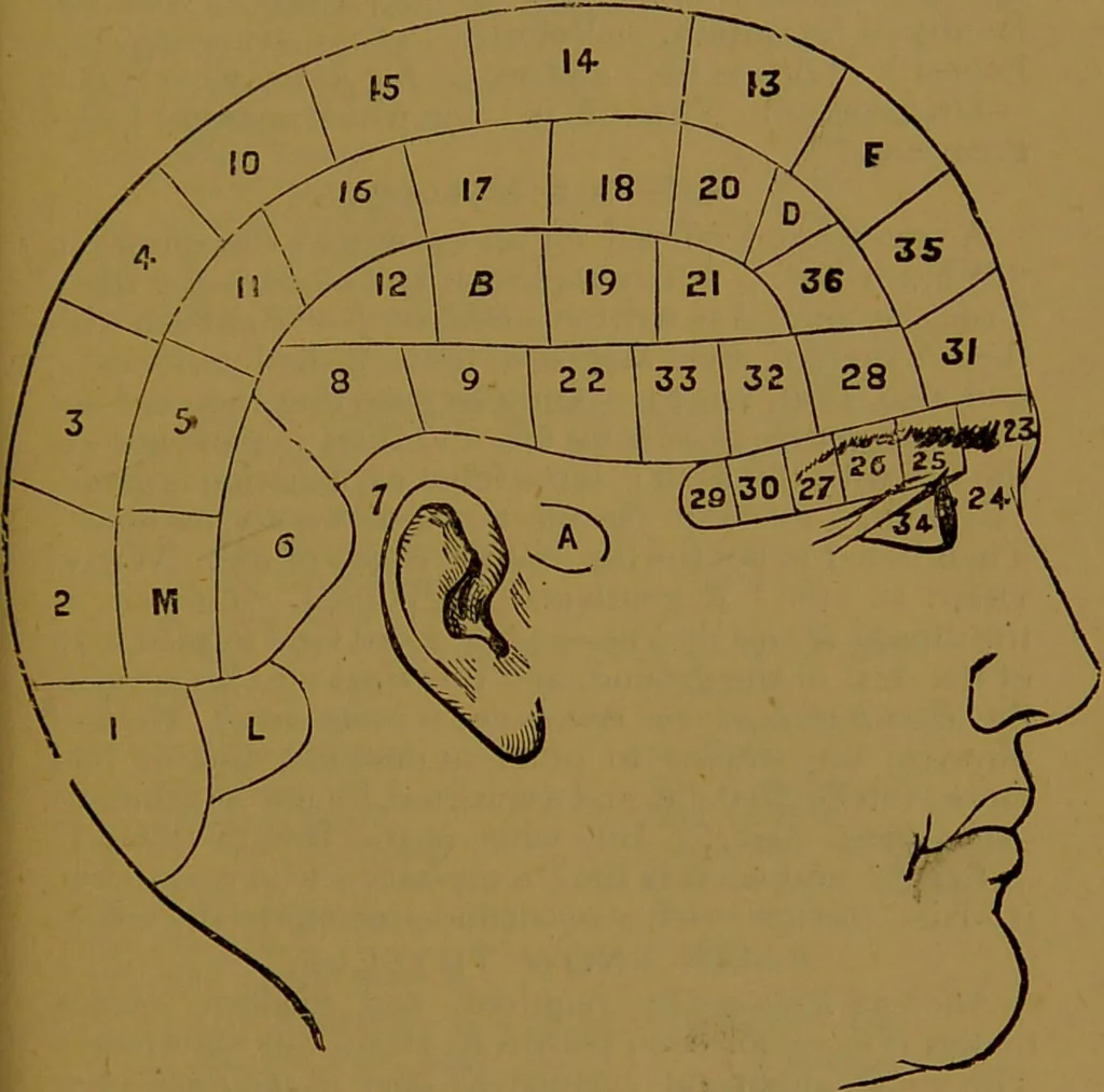 An illustration from "Truths for the million" : hand book & guide to physiology, psychology, physiognomy and phrenology / by Joseph Dyson., 1885, leaf 55