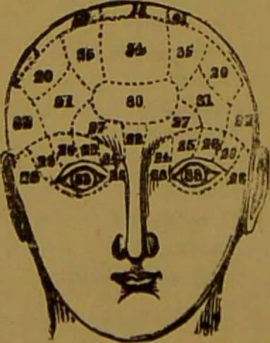 An illustration from "Truths for the million" : hand book & guide to physiology, psychology, physiognomy and phrenology / by Joseph Dyson., 1885, leaf 58