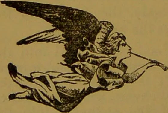 An illustration from "Truths for the million" : hand book & guide to physiology, psychology, physiognomy and phrenology / by Joseph Dyson., 1885, leaf 70