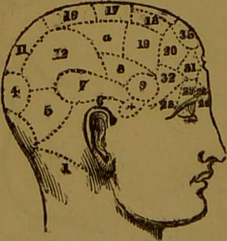 An illustration from "Truths for the million" : hand book & guide to physiology, psychology, physiognomy and phrenology / by Joseph Dyson., 1885, leaf 8