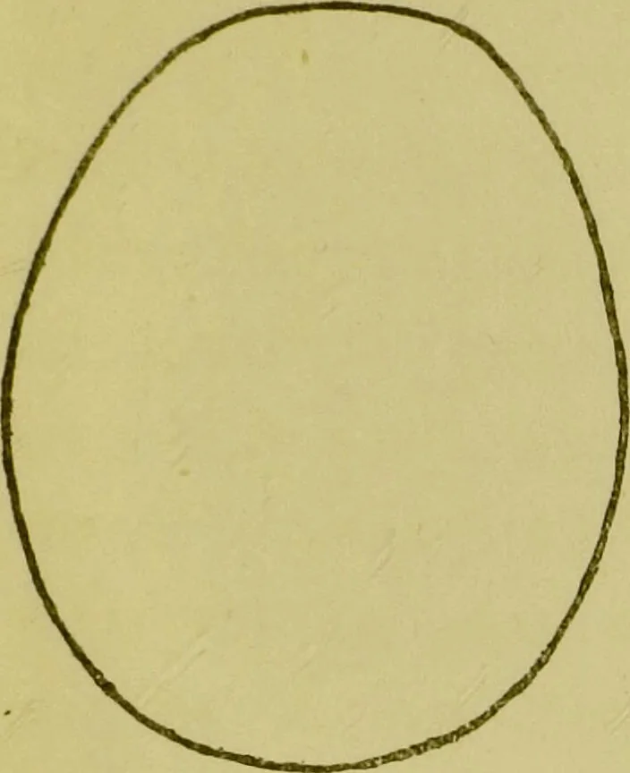 An illustration from Phrenology, or, Heads, and what they tell us / by W. Pugin Thornton., 1896, leaf 87