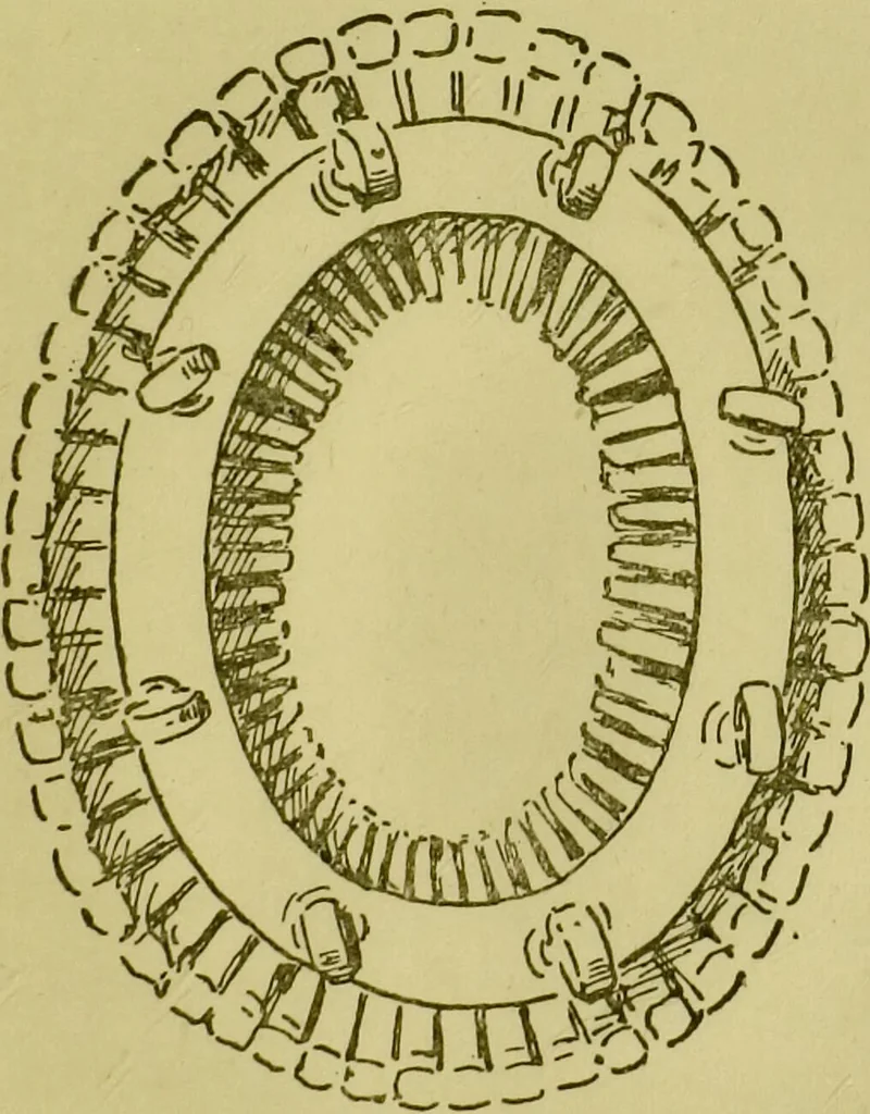 An illustration from Phrenology, or, Heads, and what they tell us / by W. Pugin Thornton., 1896, leaf 87