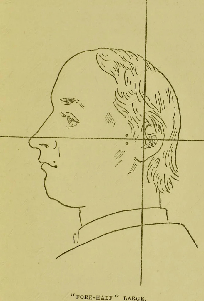 An illustration from Phrenology, or, Heads, and what they tell us / by W. Pugin Thornton., 1896, leaf 95