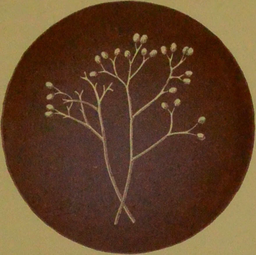 An illustration from Rust, smut, mildew & mould : An introduction to the study of microscopic fungi / by M. C. Cooke. Illustrated with 269 coloured figures, by J. E. Sowerby., 1886, leaf 203