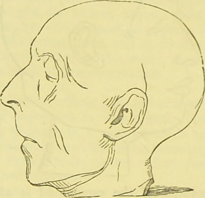 An illustration from The constitution of man considered in relation to external objects / [George Combe]., 1879, leaf 154