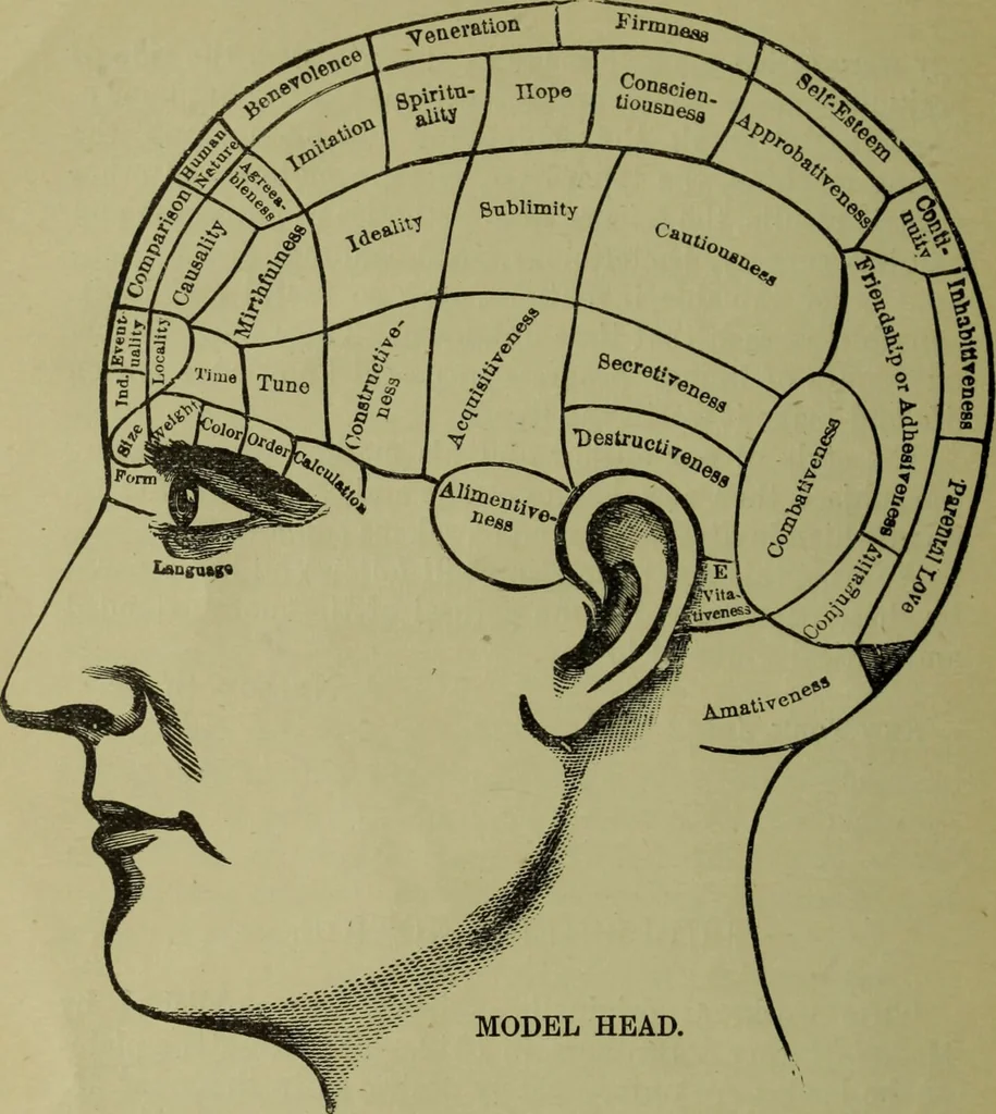 An illustration from Uncle Sam's letters on phrenology to his millions of friends in America / revised, with introduction by Nelson Sizer., 1896, leaf 10