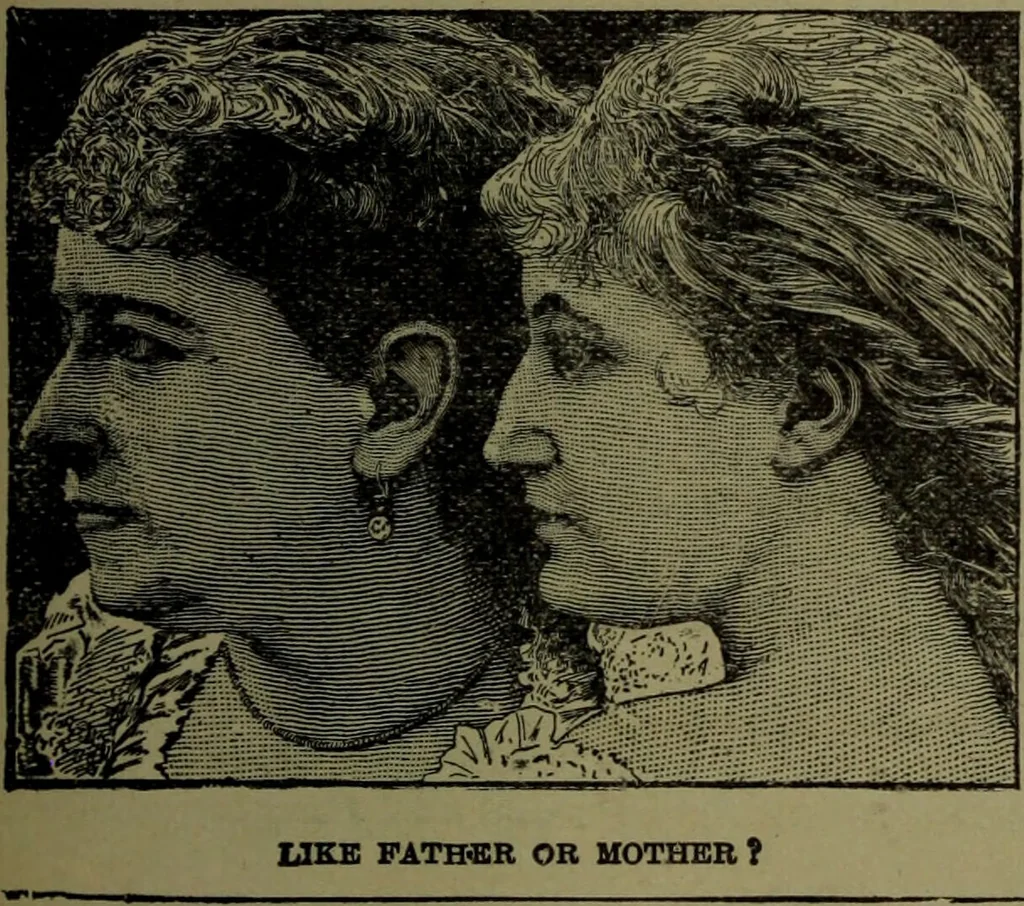 An illustration from Uncle Sam's letters on phrenology to his millions of friends in America / revised, with introduction by Nelson Sizer., 1896, leaf 155