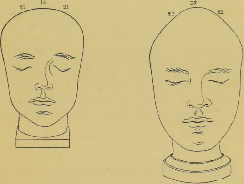 An illustration from Elements of phrenology / by George Combe., 1862, leaf 123