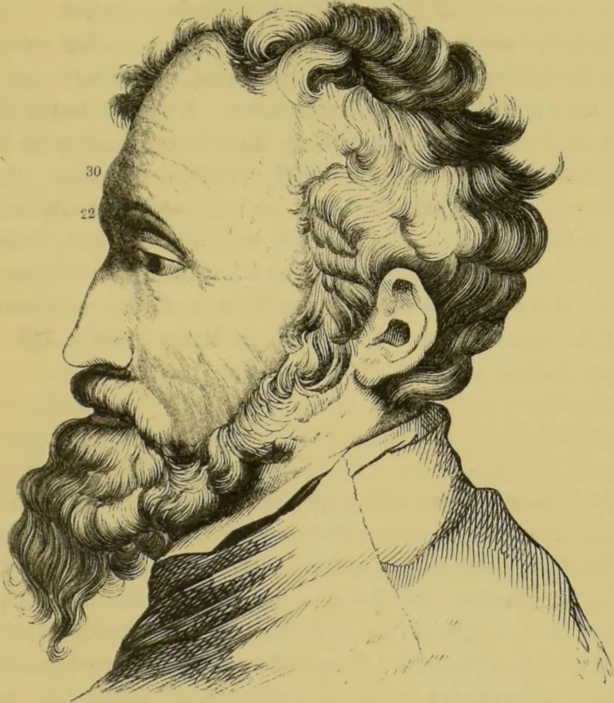 An illustration from Elements of phrenology / by George Combe., 1862, leaf 131