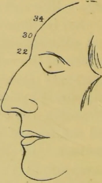 An illustration from Elements of phrenology / by George Combe., 1862, leaf 140