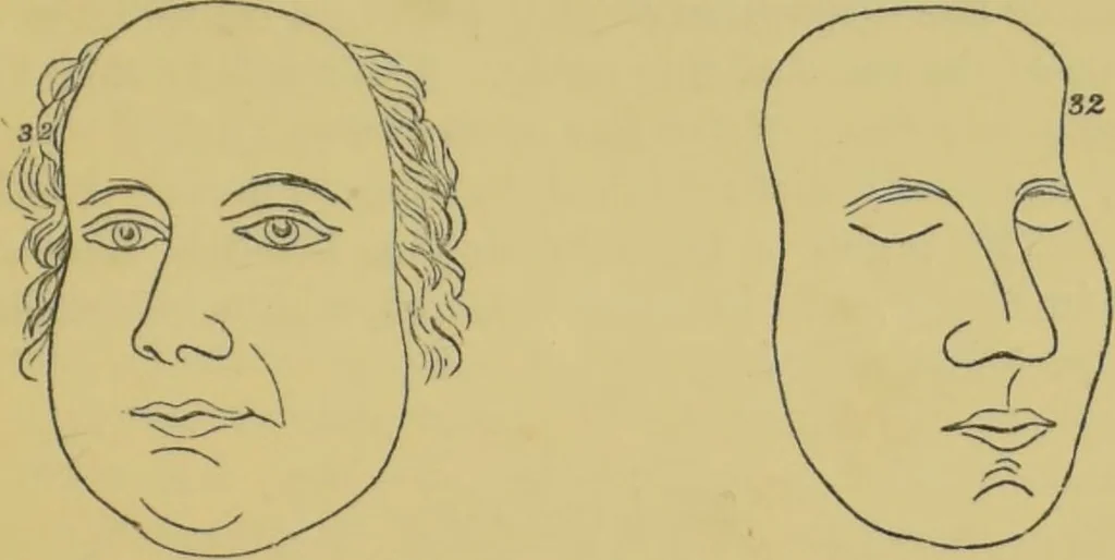 An illustration from Elements of phrenology / by George Combe., 1862, leaf 143