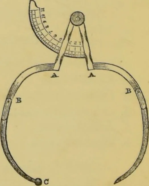 An illustration from Elements of phrenology / by George Combe., 1862, leaf 238