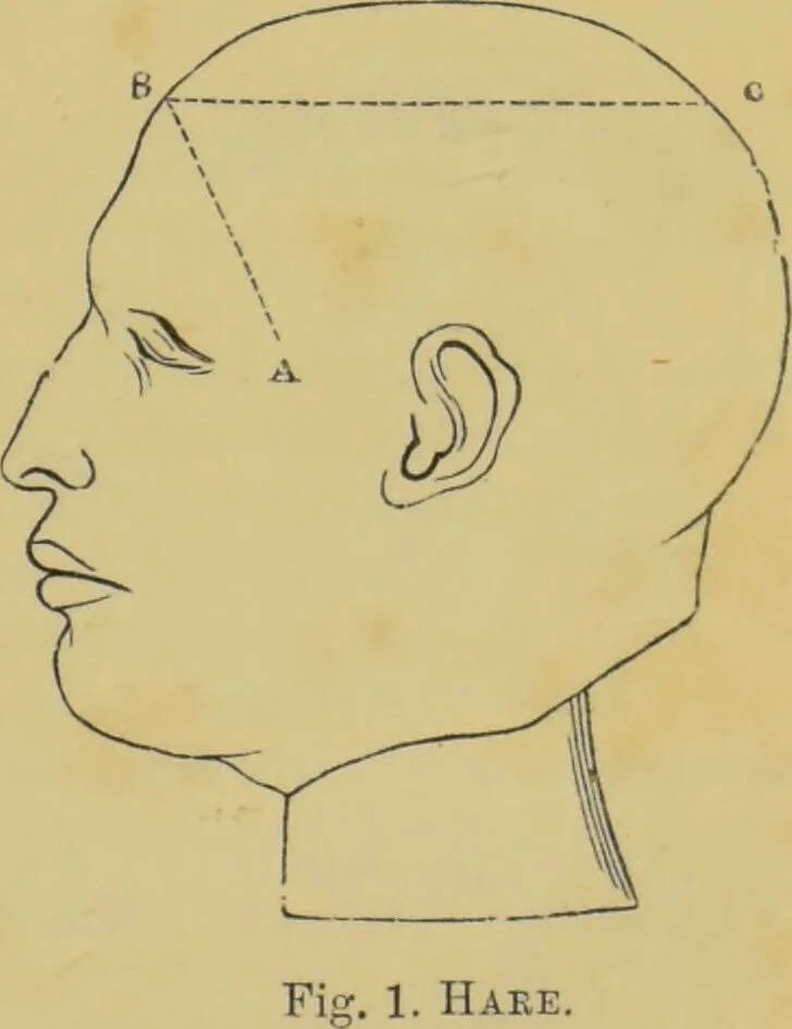 An illustration from Elements of phrenology / by George Combe., 1862, leaf 53