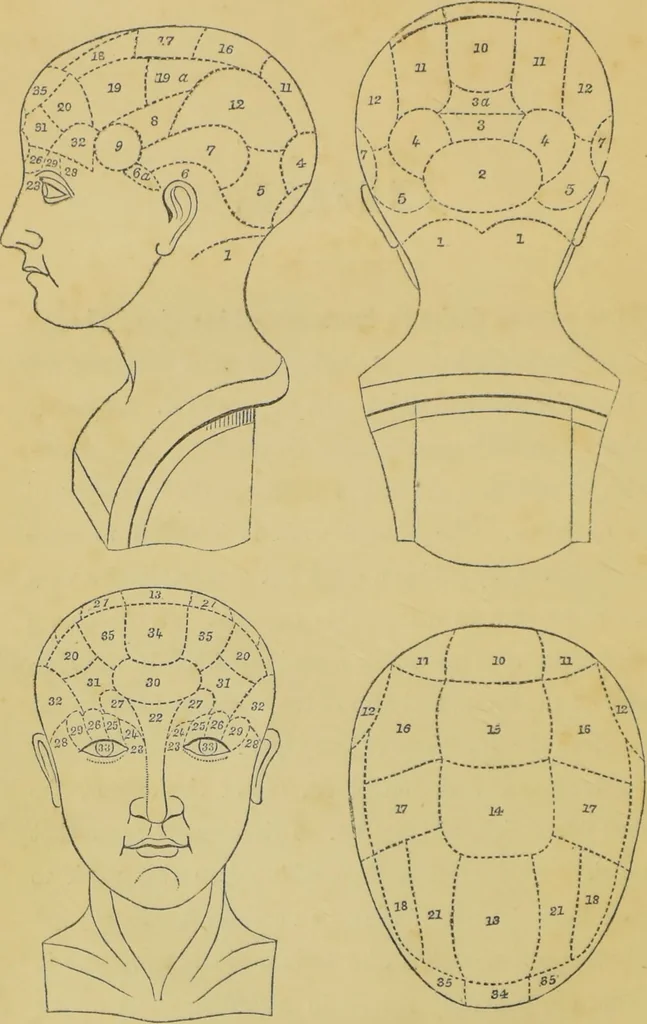 An illustration from Elements of phrenology / by George Combe., 1862, leaf 8