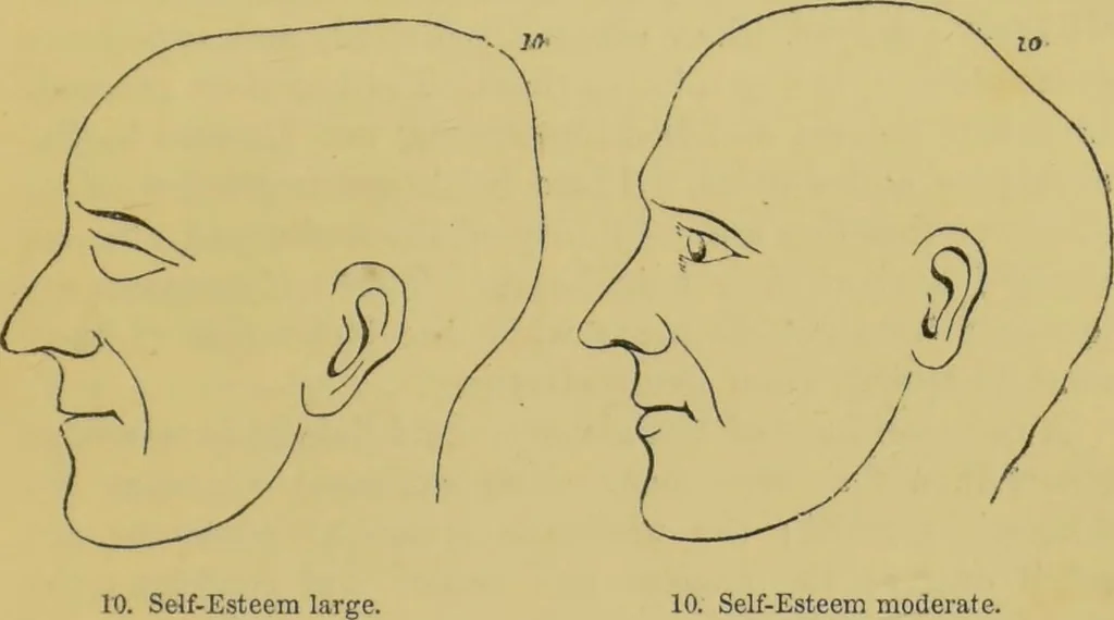 An illustration from Elements of phrenology / by George Combe., 1862, leaf 99