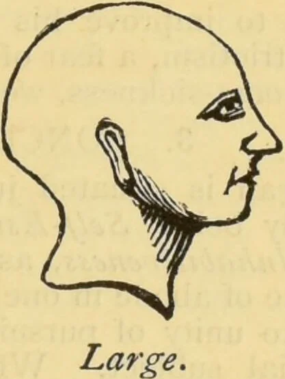An illustration from The people's handbook of phrenology : comprising a short account of its history and principles with plain directions for readily attaining a knowledge of the science., 1890, leaf 21
