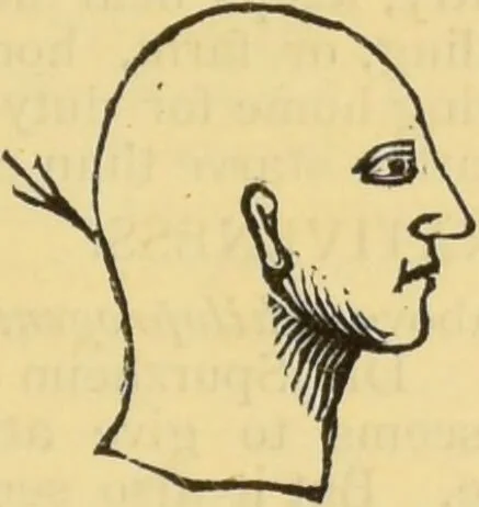 An illustration from The people's handbook of phrenology : comprising a short account of its history and principles with plain directions for readily attaining a knowledge of the science., 1890, leaf 21