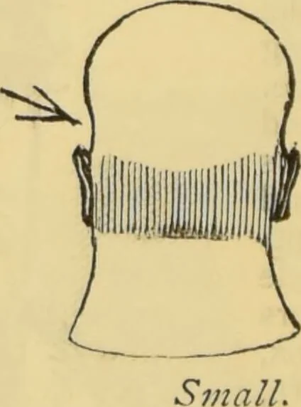 An illustration from The people's handbook of phrenology : comprising a short account of its history and principles with plain directions for readily attaining a knowledge of the science., 1890, leaf 26