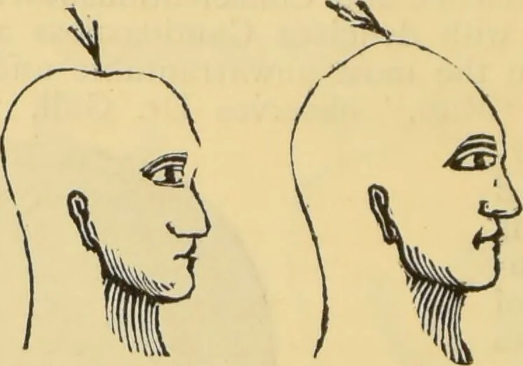An illustration from The people's handbook of phrenology : comprising a short account of its history and principles with plain directions for readily attaining a knowledge of the science., 1890, leaf 36