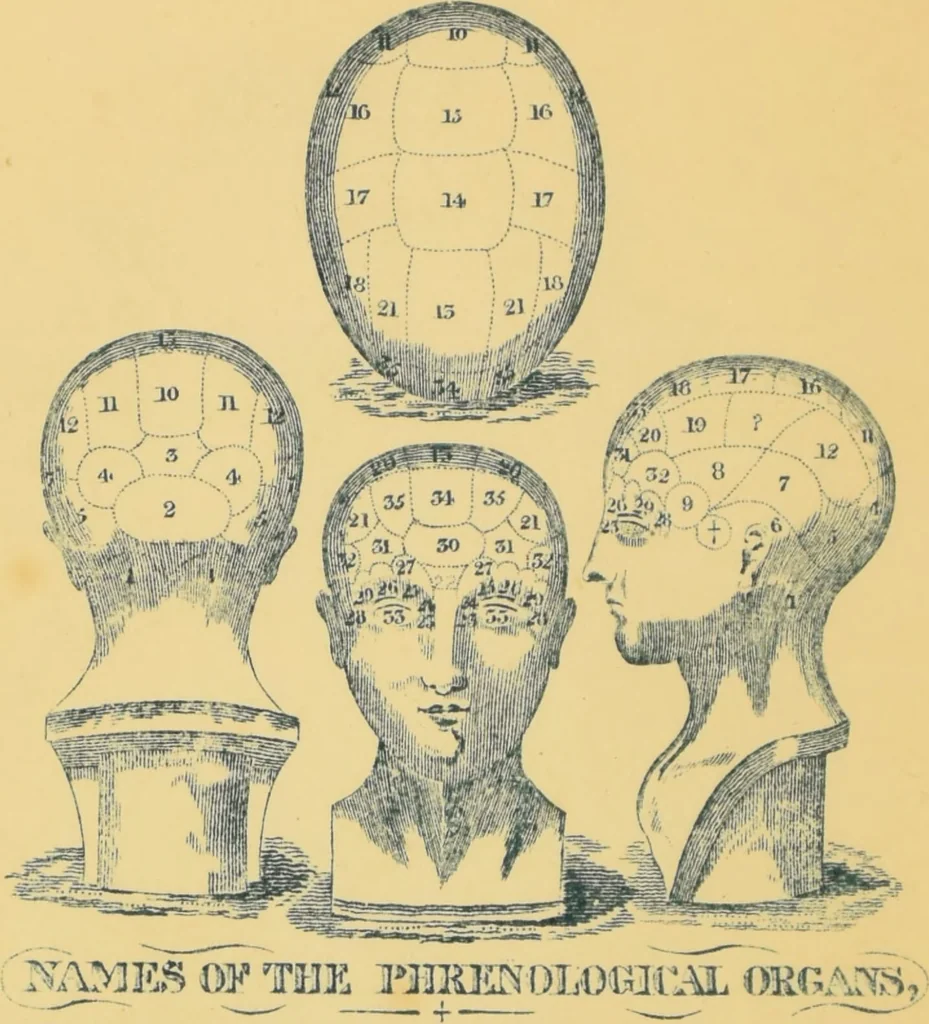 An illustration from The people's handbook of phrenology : comprising a short account of its history and principles with plain directions for readily attaining a knowledge of the science., 1890, leaf 6