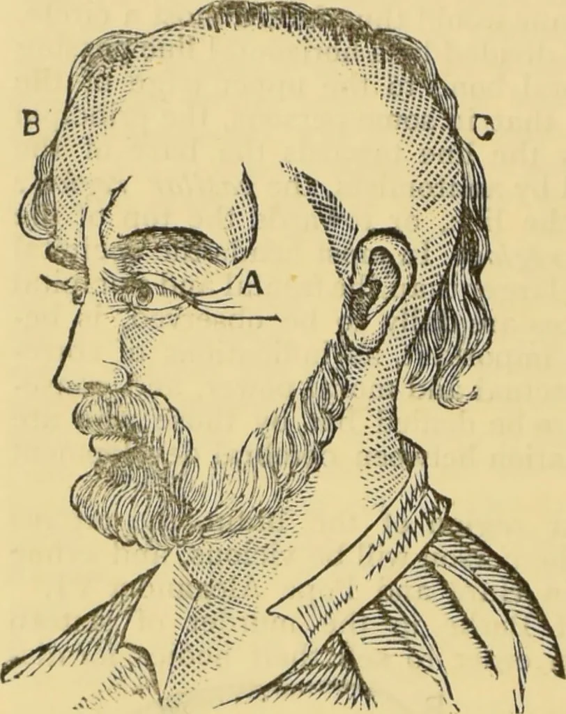 An illustration from The people's handbook of phrenology : comprising a short account of its history and principles with plain directions for readily attaining a knowledge of the science., 1890, leaf 62
