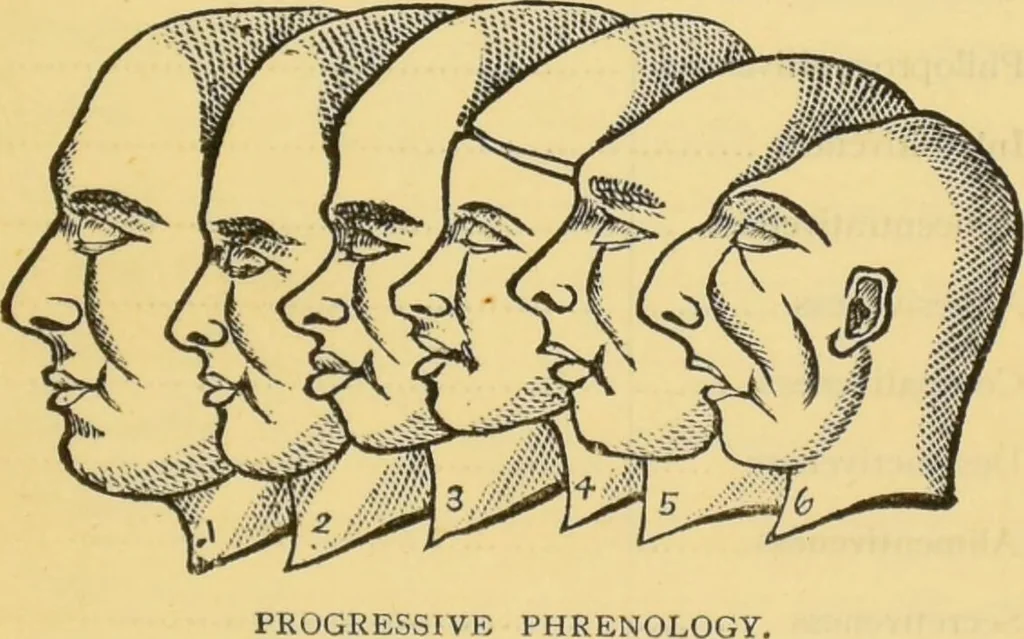 An illustration from The people's handbook of phrenology : comprising a short account of its history and principles with plain directions for readily attaining a knowledge of the science., 1890, leaf 9