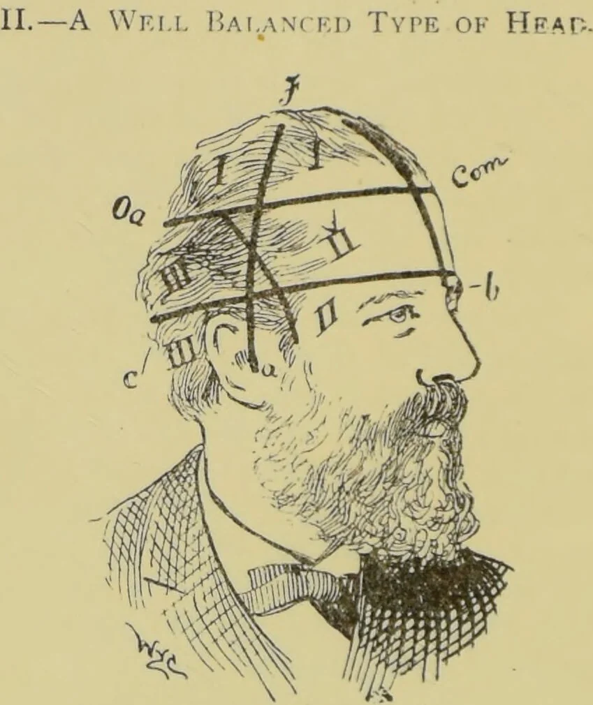 An illustration from How to read heads, or, Practical physiognomy made easy : the science and art of reading character briefly outlined, illustrated, and explained / by James Coates., 1890, leaf 26