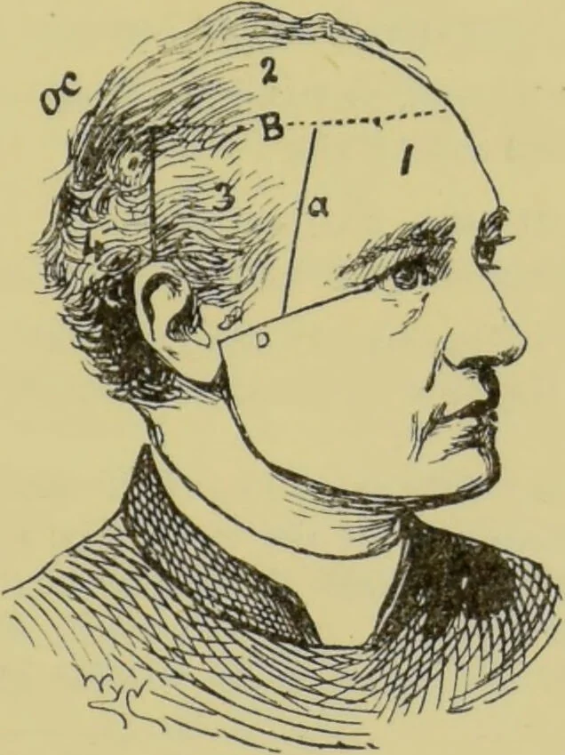 An illustration from How to read heads, or, Practical physiognomy made easy : the science and art of reading character briefly outlined, illustrated, and explained / by James Coates., 1890, leaf 33