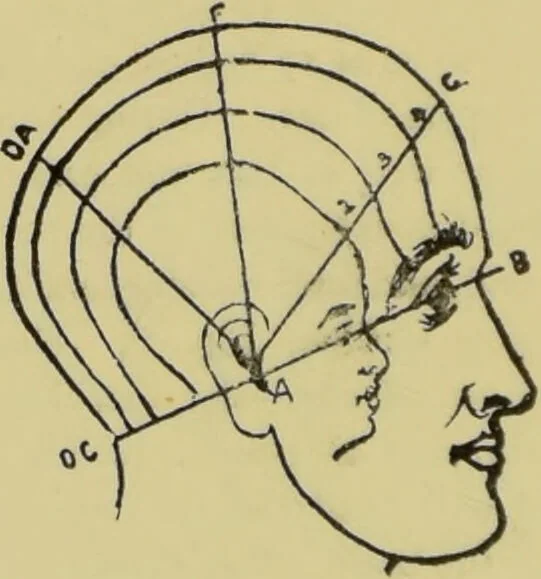 An illustration from How to read heads, or, Practical physiognomy made easy : the science and art of reading character briefly outlined, illustrated, and explained / by James Coates., 1890, leaf 42