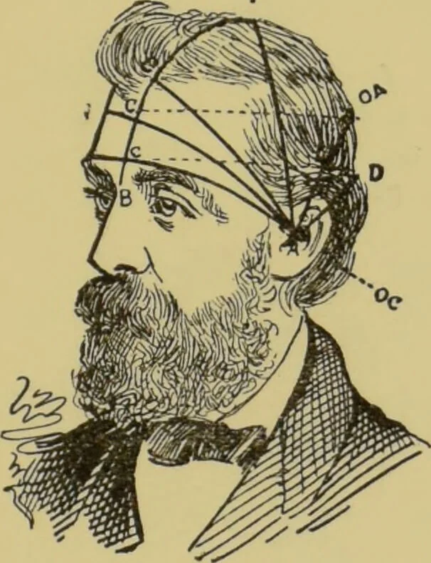 An illustration from How to read heads, or, Practical physiognomy made easy : the science and art of reading character briefly outlined, illustrated, and explained / by James Coates., 1890, leaf 49