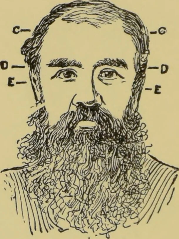 An illustration from How to read heads, or, Practical physiognomy made easy : the science and art of reading character briefly outlined, illustrated, and explained / by James Coates., 1890, leaf 50