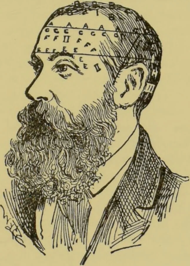 An illustration from How to read heads, or, Practical physiognomy made easy : the science and art of reading character briefly outlined, illustrated, and explained / by James Coates., 1890, leaf 53