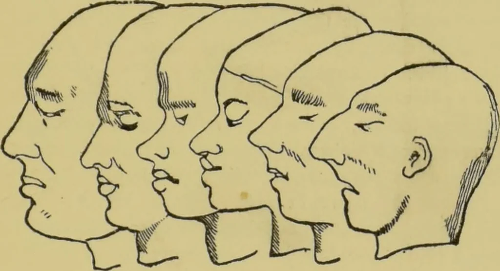 An illustration from How to read heads, or, Practical physiognomy made easy : the science and art of reading character briefly outlined, illustrated, and explained / by James Coates., 1890, leaf 61