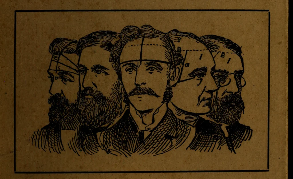 An illustration from How to read heads, or, Practical lessons on the application of phrenology to the reading of character / by James Coates., 1891, leaf 1