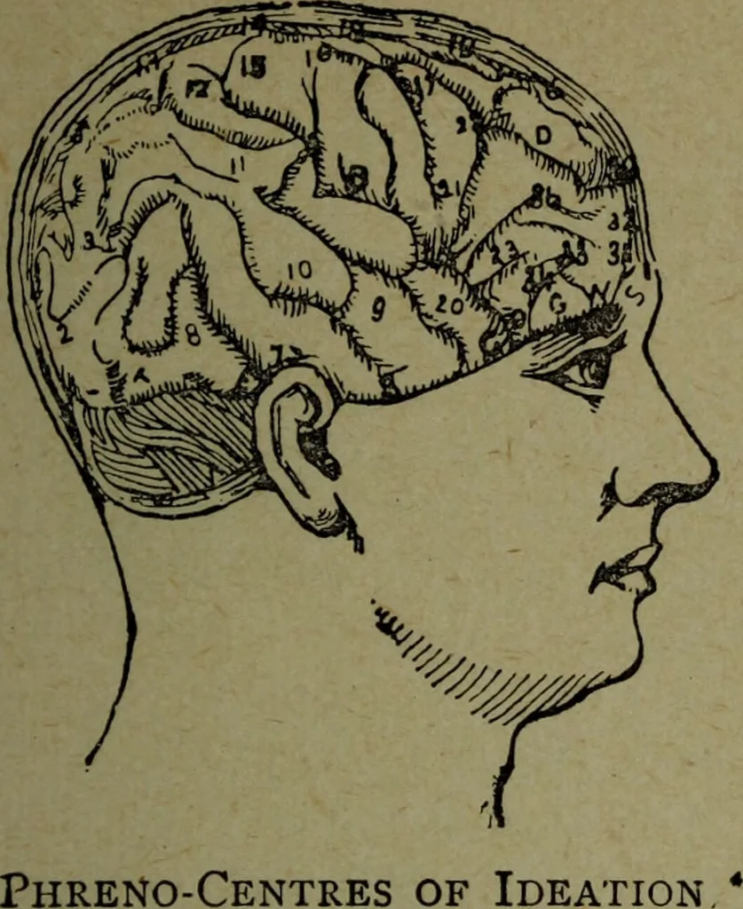 An illustration from How to read heads, or, Practical lessons on the application of phrenology to the reading of character / by James Coates., 1891, leaf 119