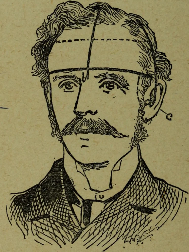 An illustration from How to read heads, or, Practical lessons on the application of phrenology to the reading of character / by James Coates., 1891, leaf 16
