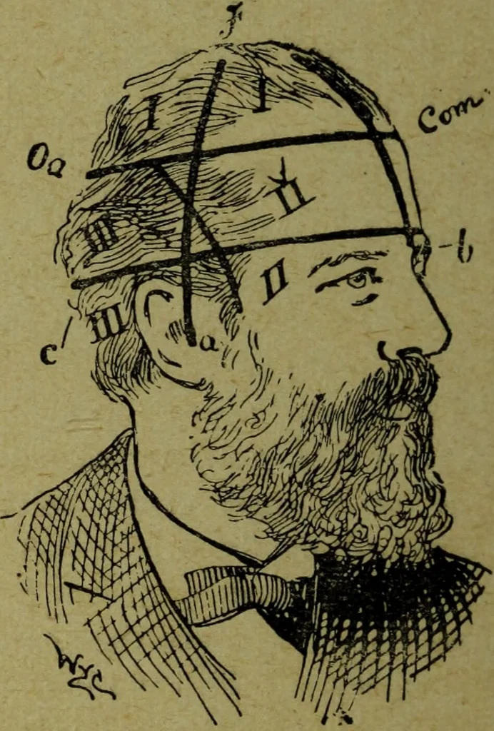 An illustration from How to read heads, or, Practical lessons on the application of phrenology to the reading of character / by James Coates., 1891, leaf 26
