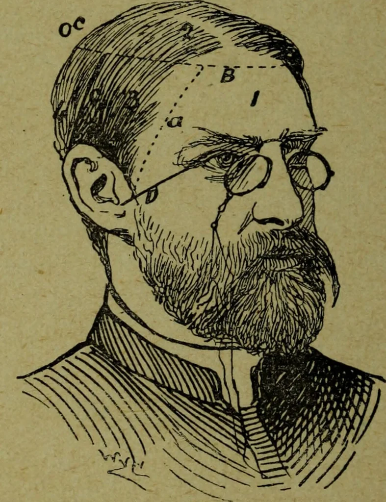 An illustration from How to read heads, or, Practical lessons on the application of phrenology to the reading of character / by James Coates., 1891, leaf 36