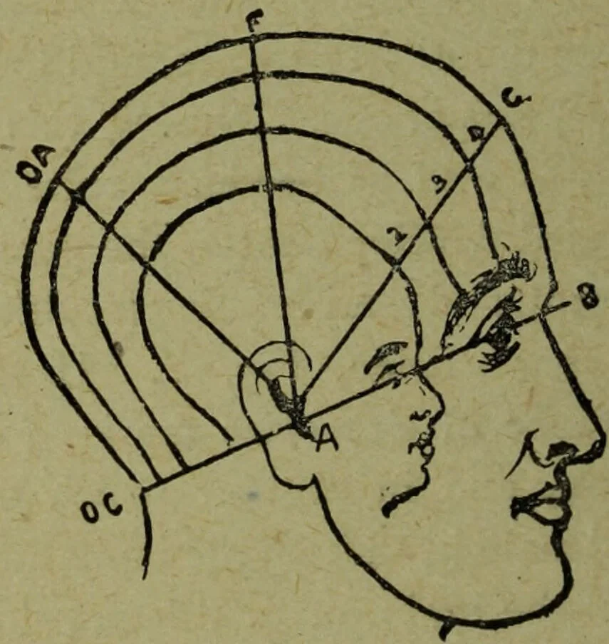An illustration from How to read heads, or, Practical lessons on the application of phrenology to the reading of character / by James Coates., 1891, leaf 42