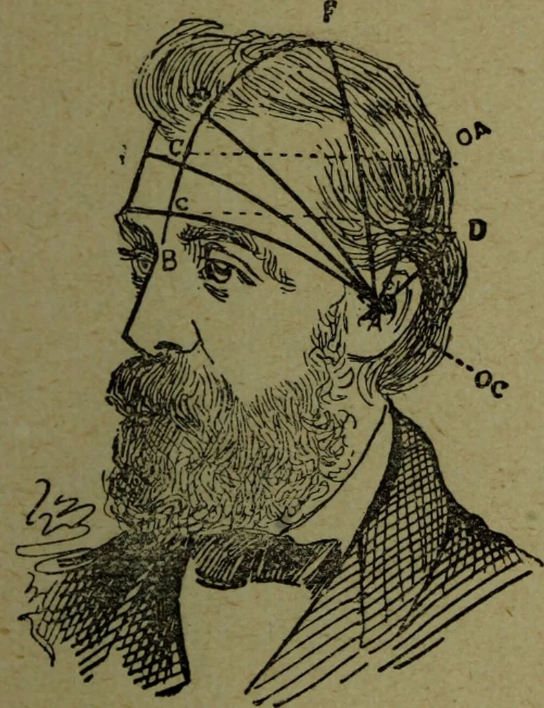 An illustration from How to read heads, or, Practical lessons on the application of phrenology to the reading of character / by James Coates., 1891, leaf 51