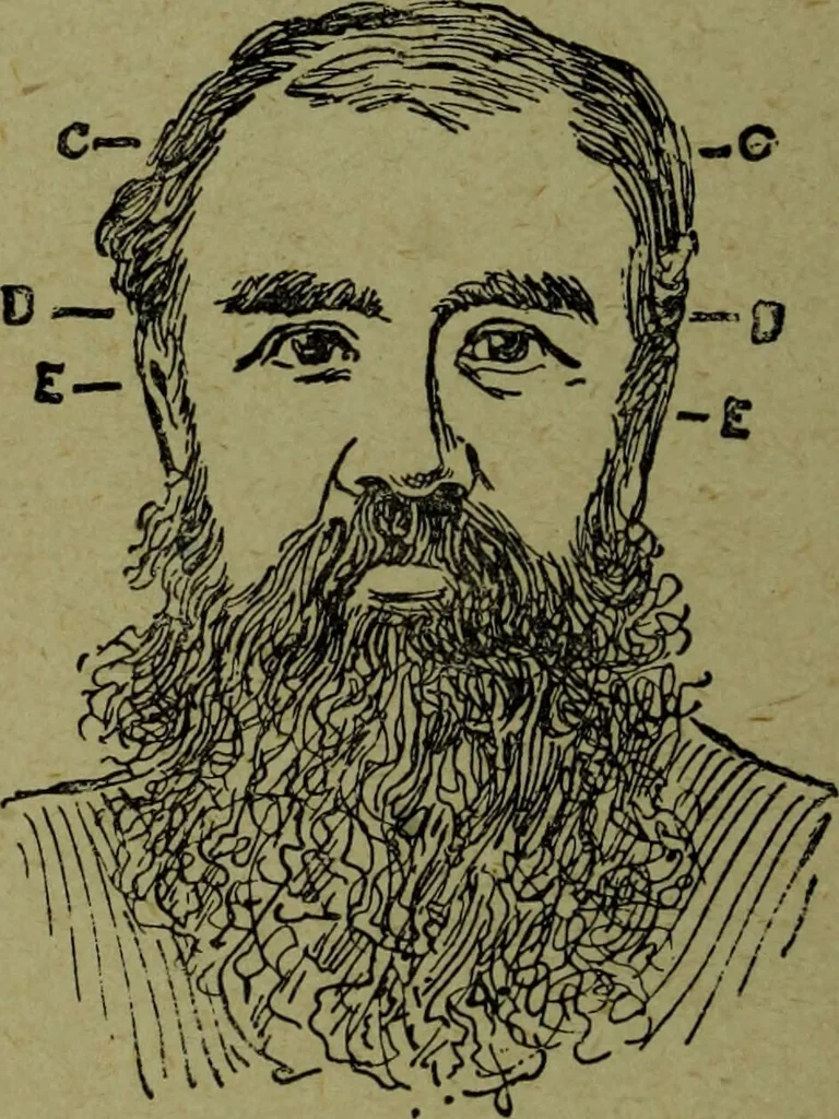 An illustration from How to read heads, or, Practical lessons on the application of phrenology to the reading of character / by James Coates., 1891, leaf 52