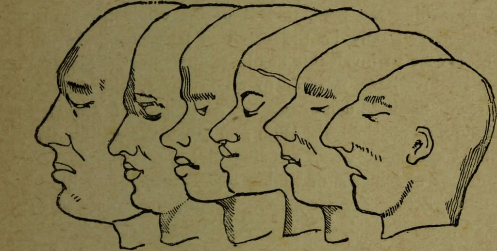 An illustration from How to read heads, or, Practical lessons on the application of phrenology to the reading of character / by James Coates., 1891, leaf 63