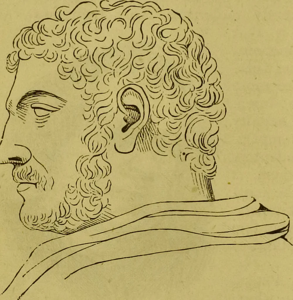 An illustration from Orthodox phrenology / by A.L. Vago., 1871, leaf 100