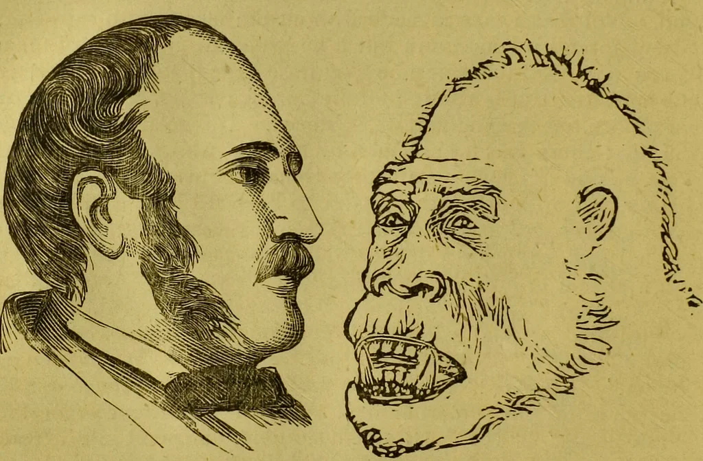 An illustration from Orthodox phrenology / by A.L. Vago., 1871, leaf 130