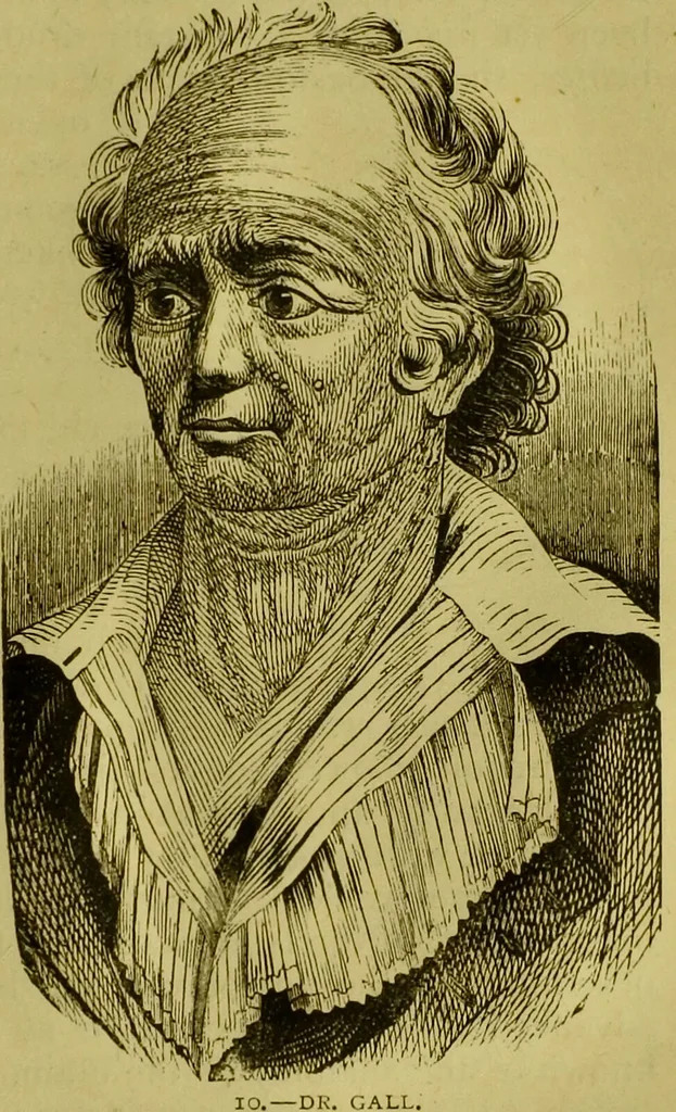 An illustration from Orthodox phrenology / by A.L. Vago., 1871, leaf 19
